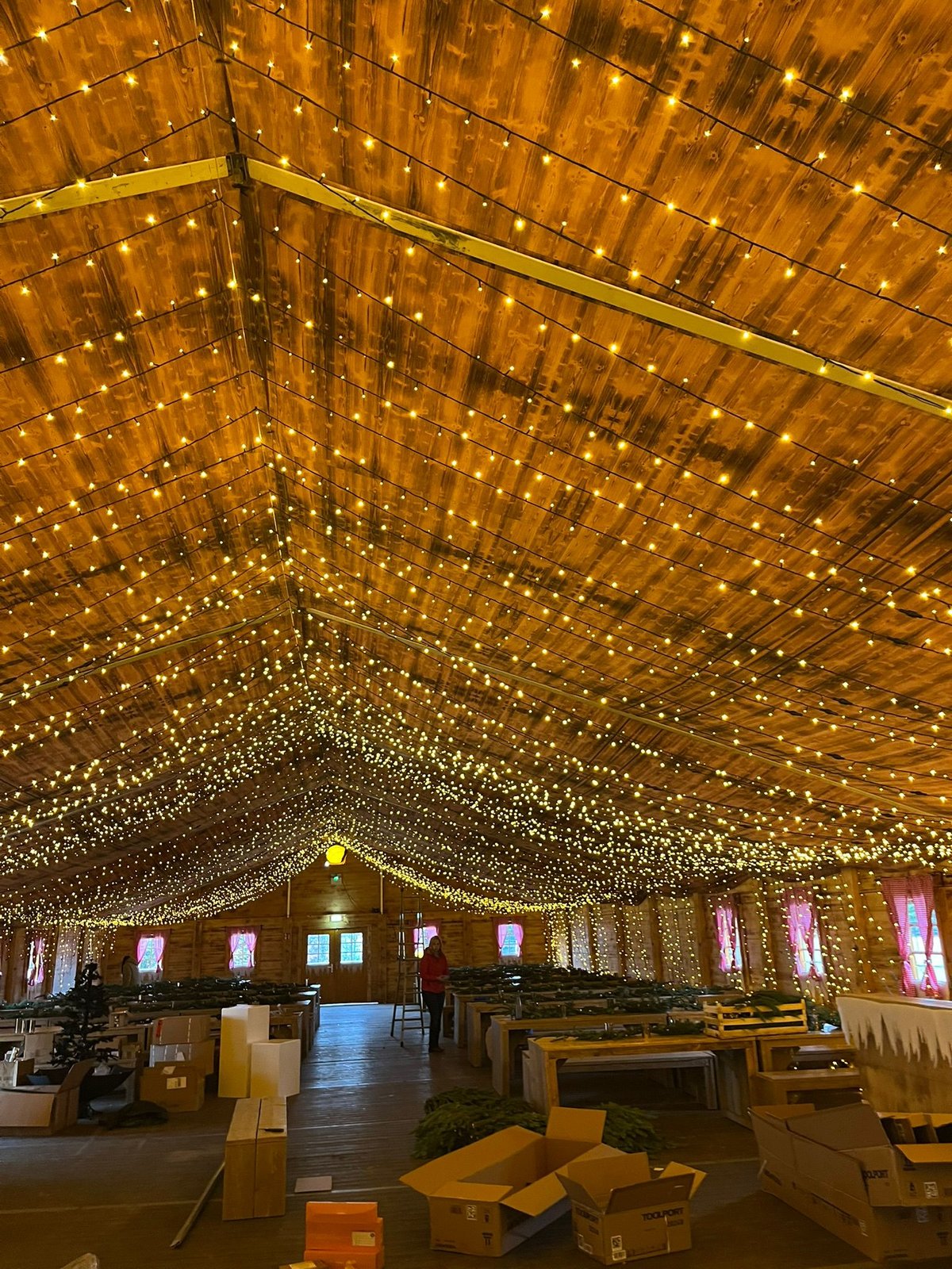 Hochzeitsfeier im Festzelt – Lichterketten-Decke Trüffelschwein